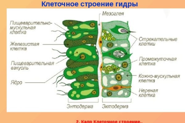 Кракен сайт 17at