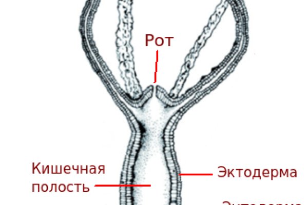 Kraken маркетплейс