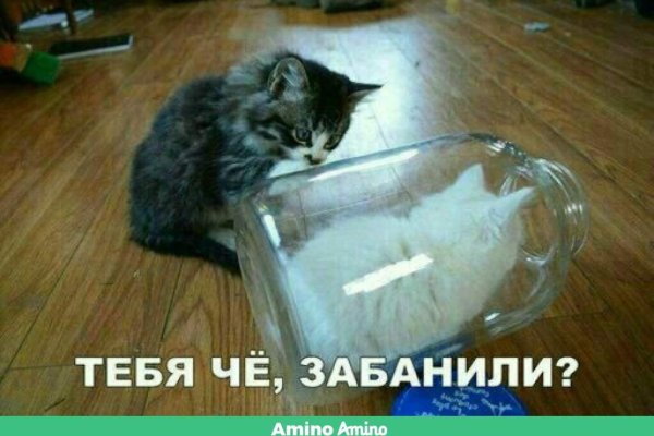 Онлайн магазин наркотиков